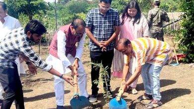 Planted Tress : मुख्यमंत्री शिवराज चौहान ने पीपल, आम और इमली के पौधे लगाए
