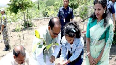 Plantation Tree : मुख्यमंत्री शिवराज सिंह चौहान ने लगाए बरगद, आम और करंज के पौधे