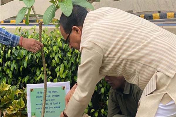 Tree Plantation : मुख्यमंत्री चौहान ने नई दिल्ली प्रवास पर पौधा-रोपण किया…नवीन मध्यप्रदेश भवन परिसर में रौपा चंपा का पौधा