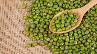 Madhya pradesh News : समर्थन मूल्‍य पर मूंग खरीदी के लिए पंजीयन की तारीख 31 मई तक बढी