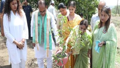 Tree Plantation : मुख्यमंत्री के साथ पौध-रोपण कर मनाया जन्म-दिवस