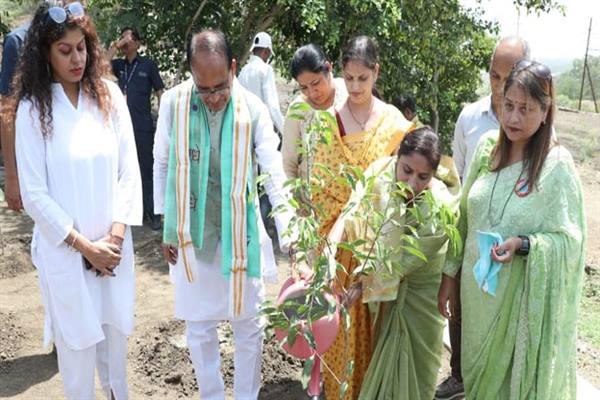 Tree Plantation : मुख्यमंत्री के साथ पौध-रोपण कर मनाया जन्म-दिवस