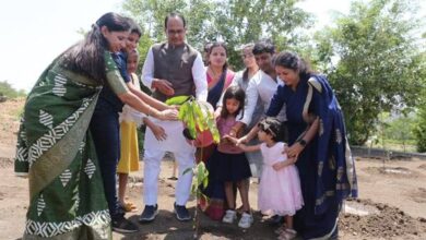 Tree Plantation : मुख्यमंत्री शिवराज चौहान ने कचनार, बरगद और आम के पौधे रोपे