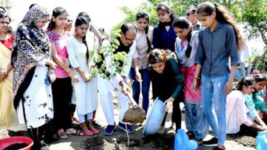 Tree Plantation : मुख्यमंत्री ने स्मार्ट उद्यान में लाड़ली बहनों के साथ लगाए पौधे